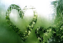 问鼎app 冲刺阶段突围战来临，埃因霍温围绕德国杯豪取连胜，赛场秩序良好，球队文化再被提及